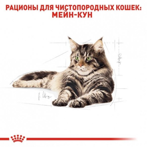 Сухой корм Royal Canin MAINECOON ADULT для взрослых кошек породы Мейн Кун 400 г