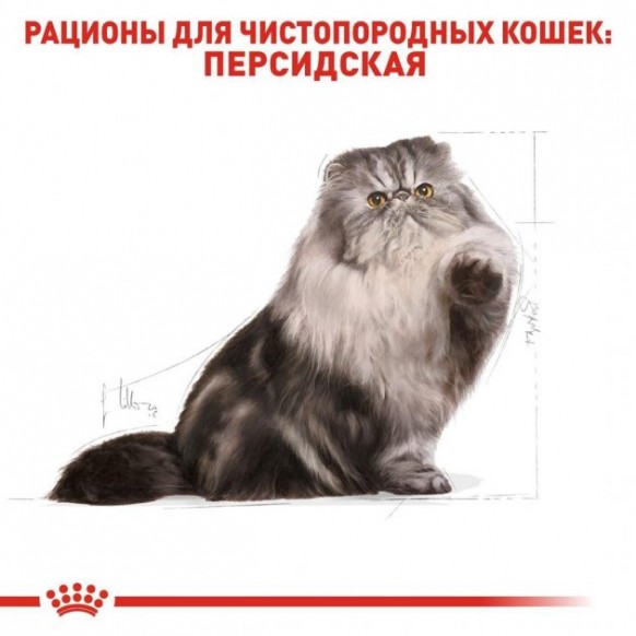 Сухой корм Royal Canin PERSIAN ADULT для взрослых кошек Персидской породы 400 г