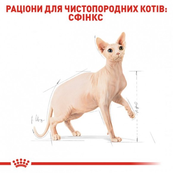Сухой корм для взрослых кошек Royal Canin Sphynx Adult 400 г 