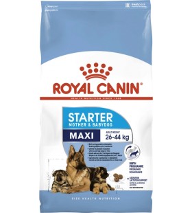Сухой корм для щенков крупных пород Royal Canin Maxi Starter до 2 месяцев 15 кг