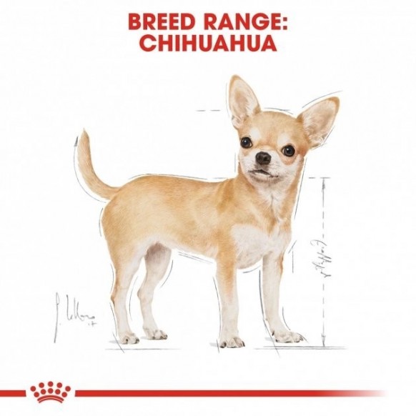 Сухой корм Royal Canin Chihuahua Adult для взрослых собак старше 8 месяцев