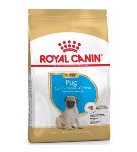 Сухий Корм Royal Canin PUG PUPPY 0,5 кг