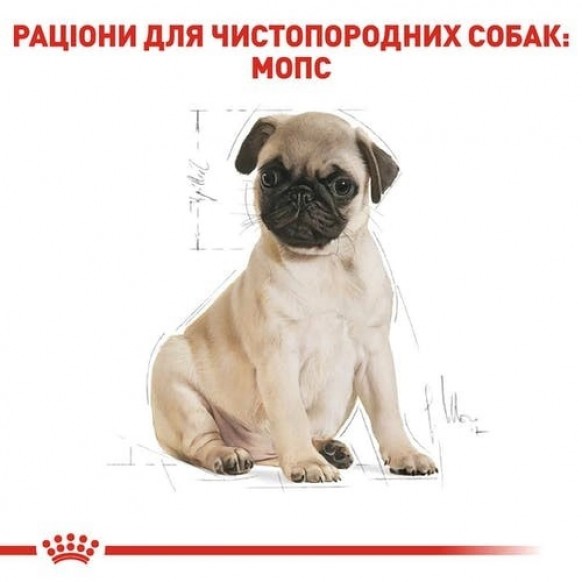 Сухой корм Royal Canin Pug Puppy для щенков до 10 месяцев 1.5 кг