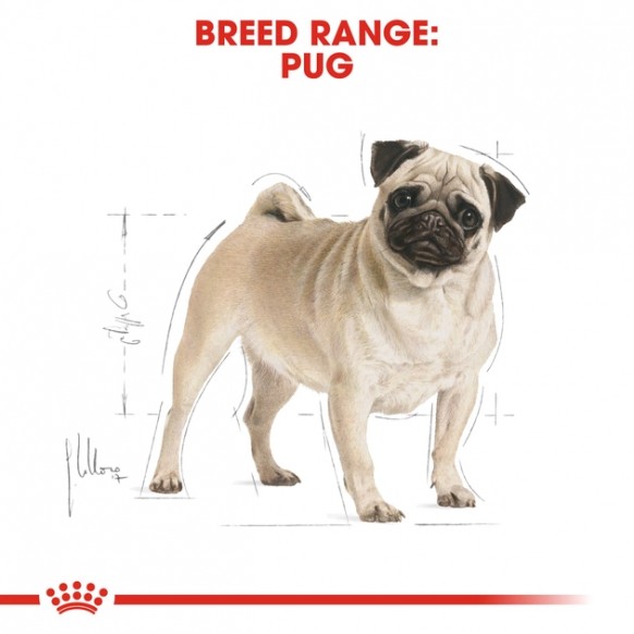 Сухой корм Royal Canin Pug Adult для взрослых собак старше 10 месяцев 7,5 кг