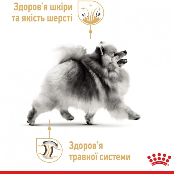 Сухой корм для взрослых собак Royal Canin Pomeranian Adult