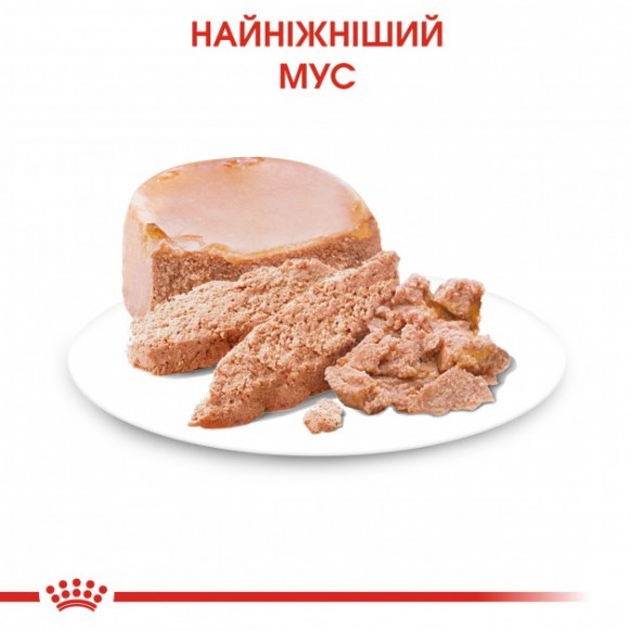 Влажный корм для новорожденных собак Royal Canin Starter Mouse 195 г