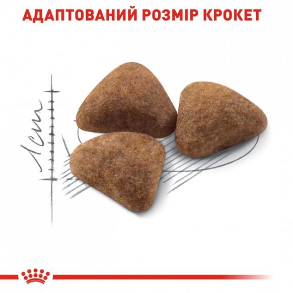 Сухой корм для домашних кошек Royal Canin Indoor 400 г