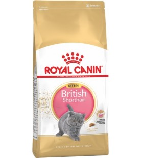 Сухой корм для котят породы британская короткошерстная Royal Canin British Shorthair Kitten 400 г