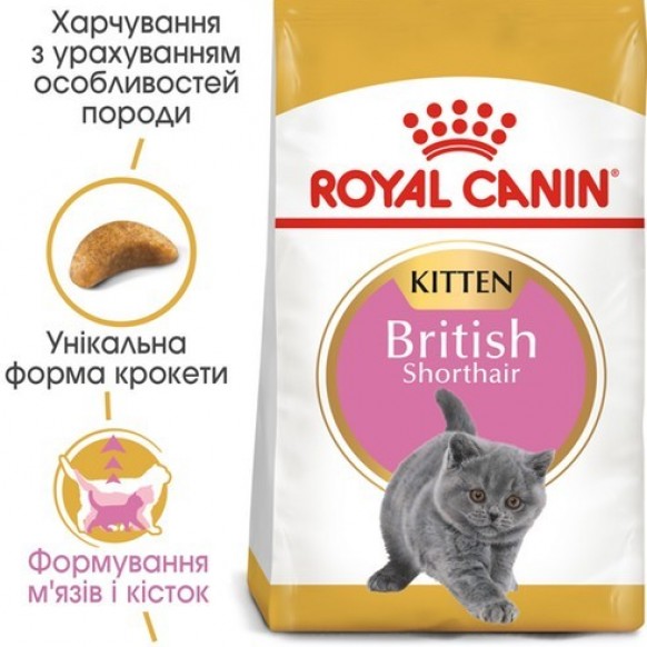Сухой корм для котят породы британская короткошерстная Royal Canin British Shorthair Kitten 400 г