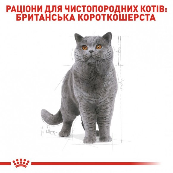 Сухой корм для взрослых кошек Royal Canin British Shorthair Adult 400 г