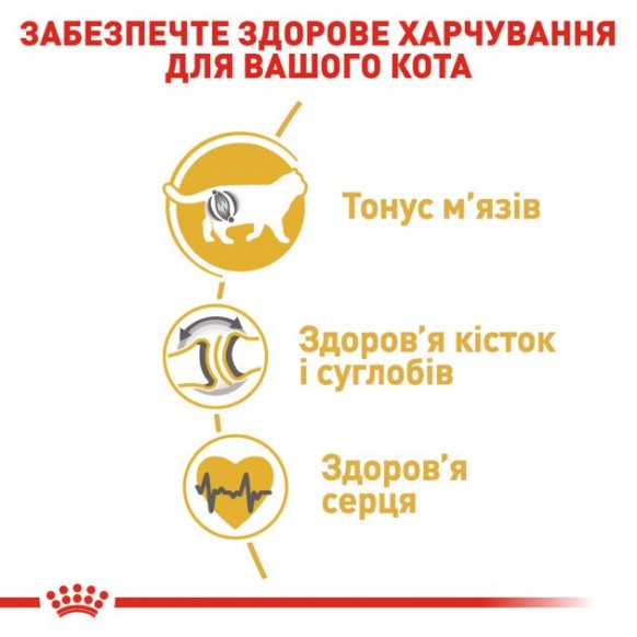 Сухой корм для взрослых кошек Royal Canin British Shorthair Adult 400 г