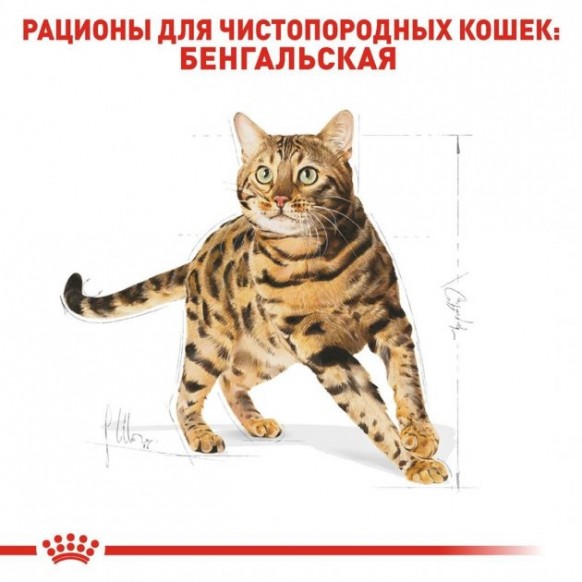 Сухой корм Royal Canin BENGAL ADULT для взрослых кошек Бенгальской породы 400 г 