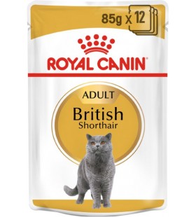 Упаковка влажного корма для взрослых кошек Royal Canin British Shorthair Adult 12 шт по 85 г 