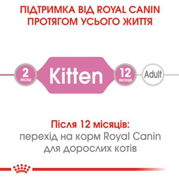 Упаковка влажного корма для котят Royal Canin Kitten in Jelly 12 шт по 85 г